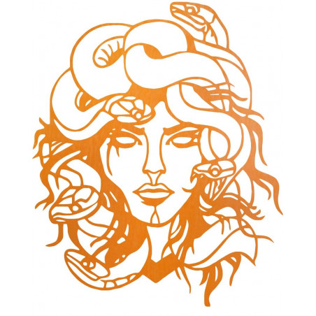 Imaginea de pe perete msdúza femeie - MEDUSA GORGONA