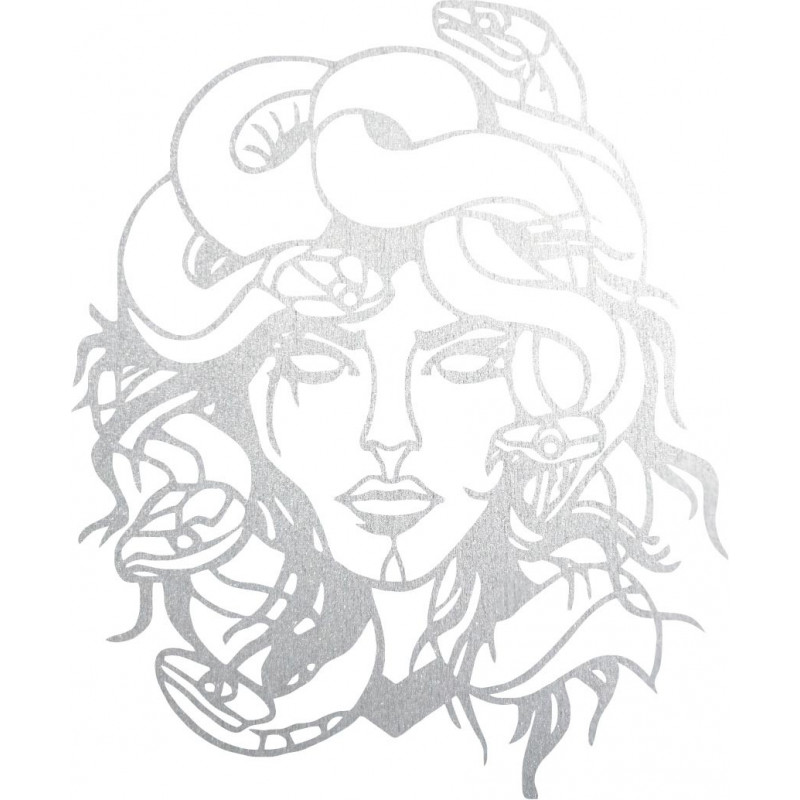 Imaginea de pe perete msdúza femeie - MEDUSA...