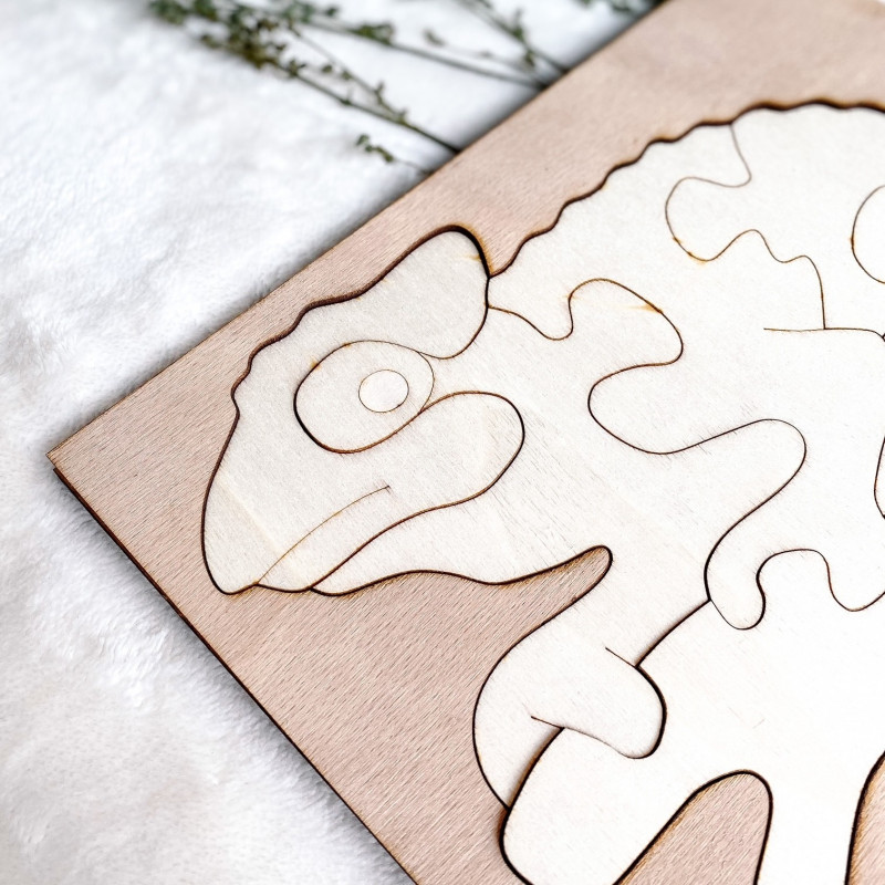 Bicolor insert montessori din lemn pentru copii...