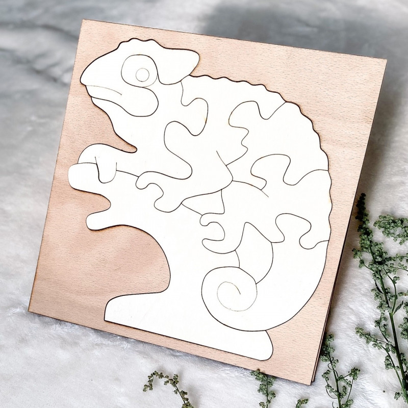 Bicolor insert montessori din lemn pentru copii...