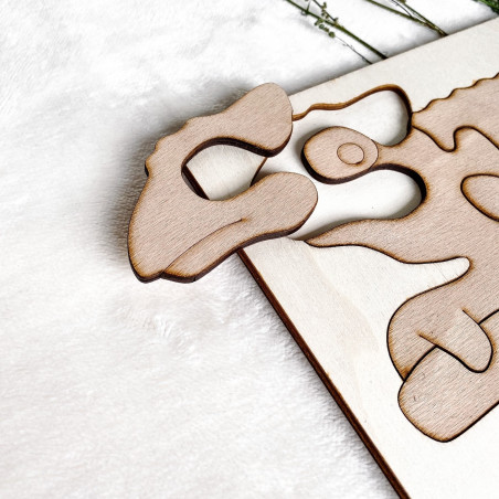 Bicolor insert montessori din lemn pentru copii - CAMELEON FAG| SENTOP