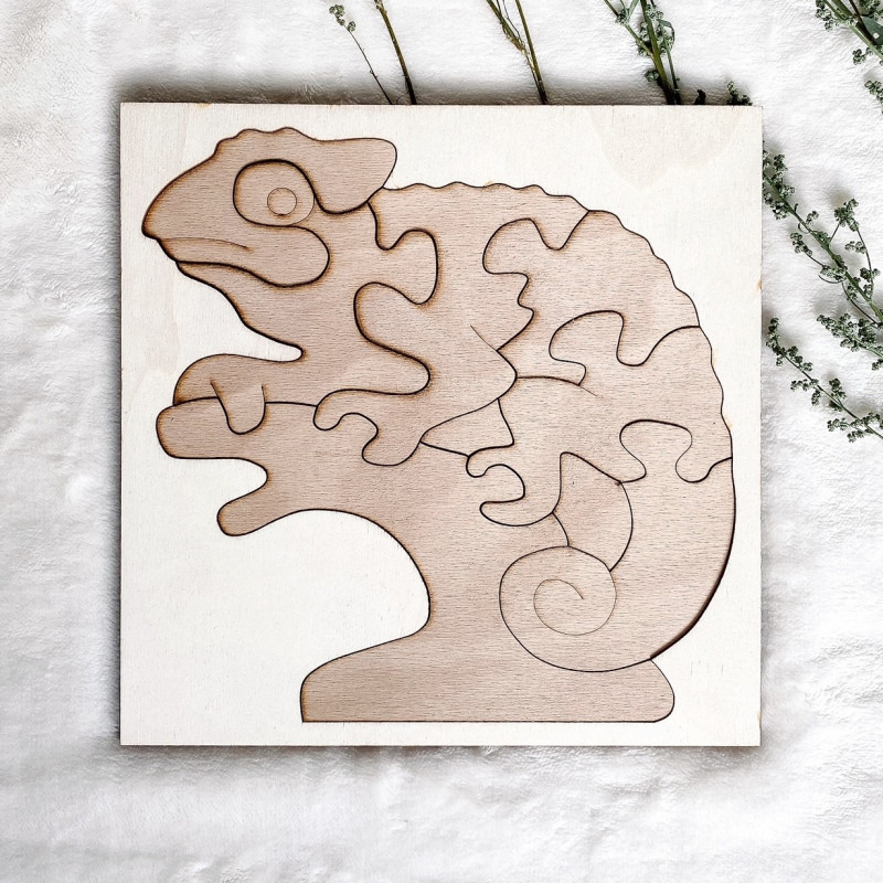 Bicolor insert montessori din lemn pentru copii...