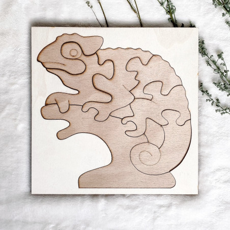 Bicolor insert montessori din lemn pentru copii - CAMELEON FAG| SENTOP