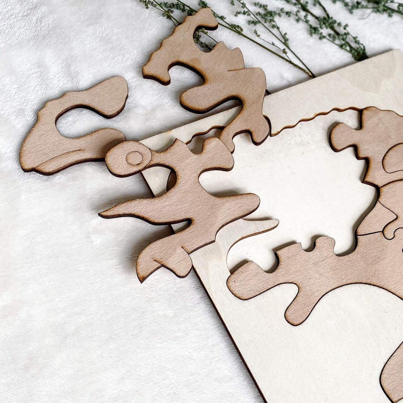 Bicolor insert montessori din lemn pentru copii...