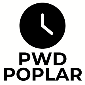 copy of PATTERN - ceas PWD DUB