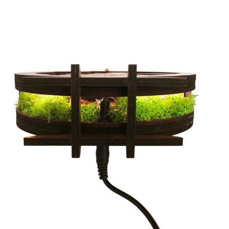 Decorațiune LED Micul Prinț cu avion | Nuc Wenge