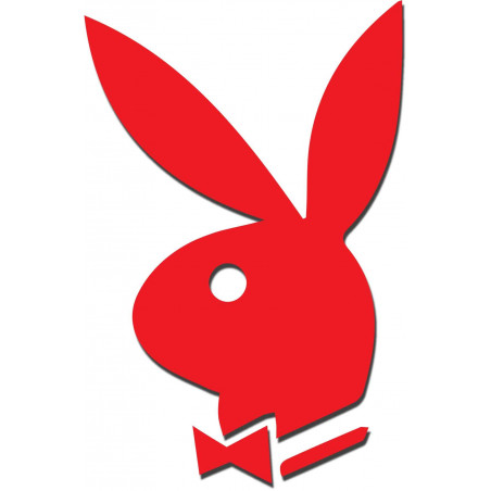 Oglinzi decorative. Autocolante oglindă pentru perete, ca imagine sau decor, autocolant acrilic 3D