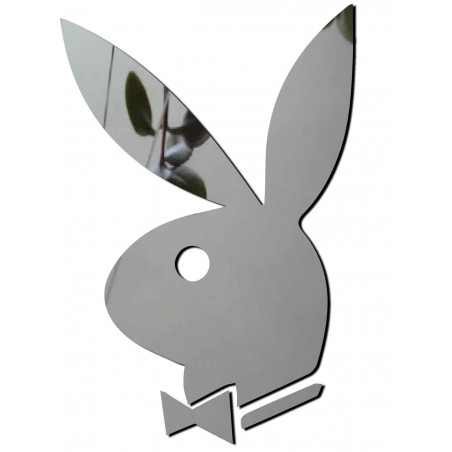 Oglinzi decorative moderne. Oglinzi și autocolante de perete colorate, autocolante 3D din acril