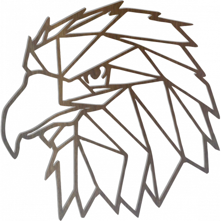 STYLESA Pictură murală sculptată forme geometrice vultur PR0234 negru STYLESA Pictură murală sculptată forme geometrice vultur PR0234 negru