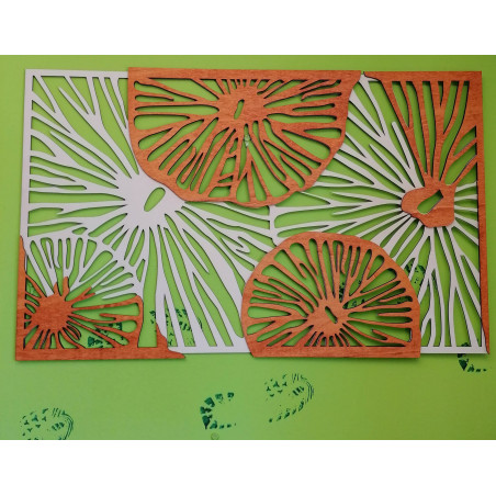 Imagine sculptată pe peretele din placaj de lemn portocaliu efect 3D KODJAK