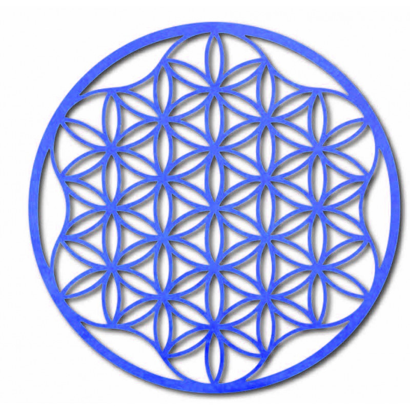 O imagine a unei mandale pe un perete de placaj...