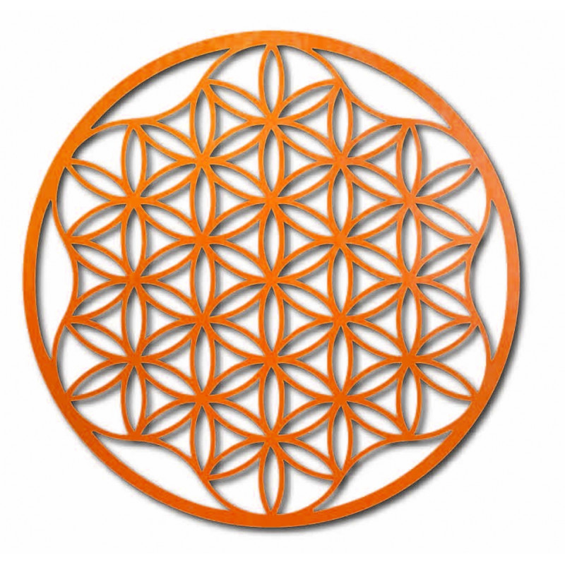 O imagine a unei mandale pe un perete de placaj...