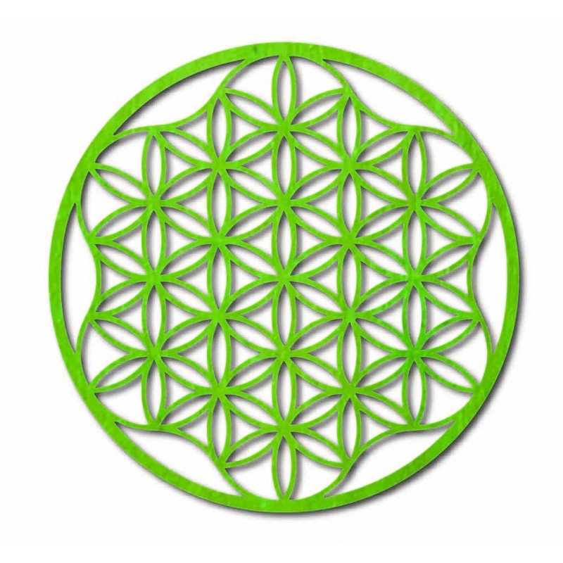 O imagine a unei mandale pe un perete de placaj...